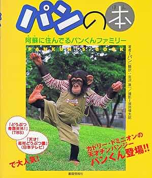 914+a9UW1eL._AC_UF350,